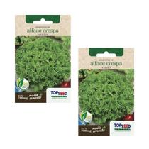2X Sementes Alface Crespa (Verão) TOPSEED 2X Sementes Alface Crespa (Verão) TOPSEED