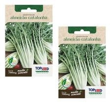 2x Sementes Almeirão Catalonha Topseed Salada Hortinha Vasos