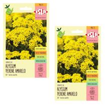 2X Sementes Alyssum Flor de Mel Amarela ISLA 2X Sementes Alyssum Flor de Mel Amarela ISLA