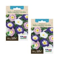 2X Sementes Bela Manhã Tricolor (Sortida) TOPSEED