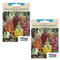 2X Sementes Boca-de-Leão Majestic Anã (Sortida) TOPSEED 2X Sementes Boca-de-Leão Majestic Anã (Sortida) TOPSEED