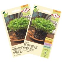 2X Sementes Brotos Microverdes de Alface Deva ISLA 2X Sementes Brotos Microverdes de Alface Deva ISLA