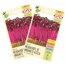 2X Sementes Brotos Microverdes de Amaranto Asteca ISLA