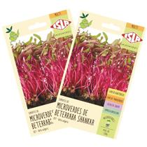 2X Sementes Brotos Microverdes de Beterraba Shankar ISLA 2X Sementes Brotos Microverdes de Beterraba Shankar ISLA