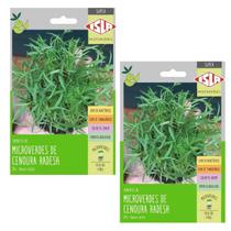 2X Sementes Brotos Microverdes de Cenoura (4g) Super ISLA 2X Sementes Brotos Microverdes de Cenoura (4g) Super ISLA