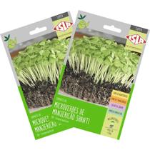 2X Sementes Brotos Microverdes de Manjericão Shanti Super