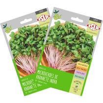 2X Sementes Brotos Microverdes de Rabanete Indra Super ISLA 2X Sementes Brotos Microverdes de Rabanete Indra Super ISLA