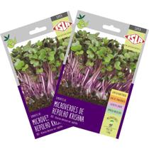 2X Sementes Brotos Microverdes de Repolho Krishna Super ISLA
