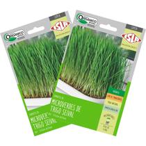 2X Sementes Brotos Microverdes de Trigo Seival Super ISLA 2X Sementes Brotos Microverdes de Trigo Seival Super ISLA