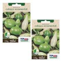 2X Sementes Cabaça Ornamental TOPSEED