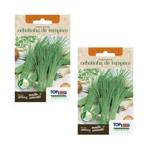 2X Sementes Cebolinha De Tempero Fina (Chives) TOPSEED