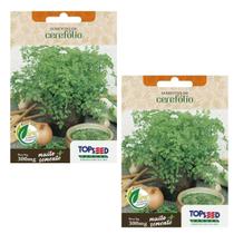 2X Sementes Cerefólio TOPSEED