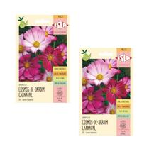 2X Sementes Cosmos-de-jardim (Carnaval) ISLA 2X Sementes Cosmos-de-jardim (Carnaval) ISLA