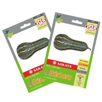 2X Sementes de Abóbora Hibrida Bárbara Super ISLA