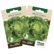 2X Sementes de Alface Crespa Repolhuda TOPSEED