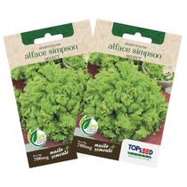 2X Sementes de Alface Crespa Simpson Select TOPSEED