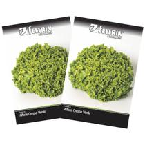 2X Sementes de Alface Crespa Verde FELTRIN