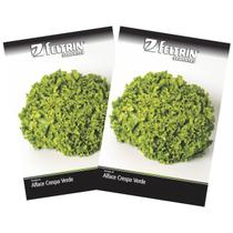 2X Sementes de Alface Crespa Verde FELTRIN 2X Sementes de Alface Crespa Verde FELTRIN