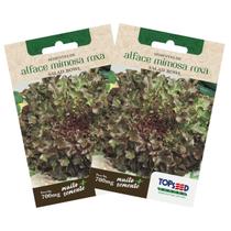 2X Sementes de Alface Mimosa Roxa TOPSEED 2X Sementes de Alface Mimosa Roxa TOPSEED