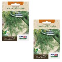 2X Sementes de Aneto/ Dill /Endro TOPSEED