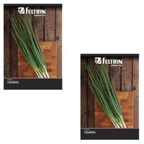 2X Sementes de Cebolinha Nebuka Evergreen FELTRIN 2X Sementes de Cebolinha Nebuka Evergreen FELTRIN