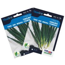 2X Sementes de Cebolinha (Nebuka Tiunegui) Blueline TOPSEED