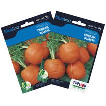 2X Sementes de Cenoura Planeta (Bolinha) Blueline TOPSEED 2X Sementes de Cenoura Planeta (Bolinha) Blueline TOPSEED