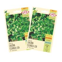2X Sementes de Chicória Escarola Lisa ISLA 2X Sementes de Chicória Escarola Lisa ISLA