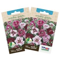 2X Sementes de Cravina Gaiety Dobrada (Sortida) TOPSEED 2X Sementes de Cravina Gaiety Dobrada (Sortida) TOPSEED