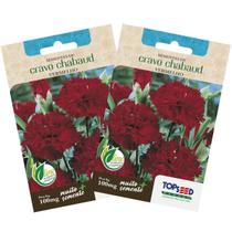 2X Sementes de Cravo Chabaud (Vermelho) TOPSEED