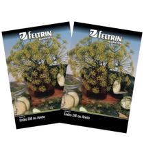 2X Sementes de Endro/Dill ou Aneto FELTRIN