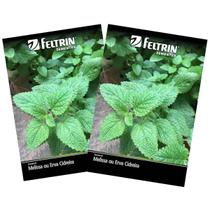 2X Sementes de Erva Cidreira ou Melissa FELTRIN 2X Sementes de Erva Cidreira ou Melissa FELTRIN