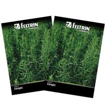 2X Sementes de Estragão FELTRIN 2X Sementes de Estragão FELTRIN