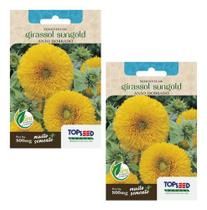 2x Sementes De Girassol Anão Sungold Dobrado Amarelo 800mg