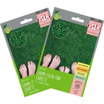 2X Sementes de Grama Carpete (Folha Fina) SUPER ISLA 2X Sementes de Grama Carpete (Folha Fina) SUPER ISLA