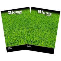 2X Sementes de Grama Jesuíta São Carlos para Jardim FELTRIN 2X Sementes de Grama Jesuíta São Carlos para Jardim FELTRIN