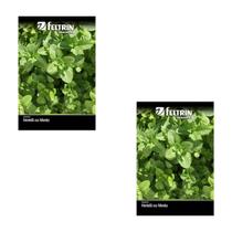 2X Sementes de Hortelã ou Menta Piperita FELTRIN 2X Sementes de Hortelã ou Menta Piperita FELTRIN