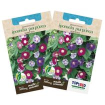 2X Sementes de Ipoméia Purpúrea (Sortida) TOPSEED