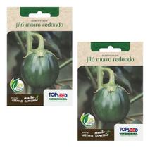 2x Sementes De Jilo Morro Redondo Alta Germinação Horta Mudas