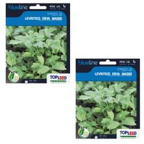 2X Sementes de Levistico Erva/Maggi Blueline (1g) TOPSEED