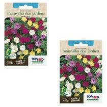 2X Sementes de Maravilha dos Jardins (Sortida) TOPSEED 2X Sementes de Maravilha dos Jardins (Sortida) TOPSEED
