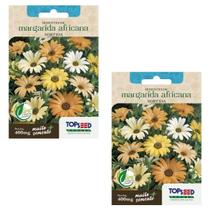 2X Sementes de Margarida Africana (Sortida) TOPSEED 2X Sementes de Margarida Africana (Sortida) TOPSEED