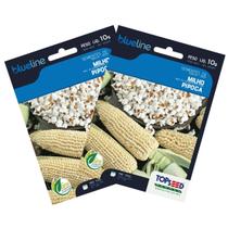 2X Sementes de Milho de Pipoca Blueline TOPSEED 2X Sementes de Milho de Pipoca Blueline TOPSEED