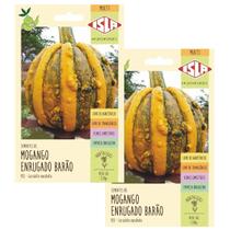 2X Sementes de Mogango Enrugado Barão ISLA