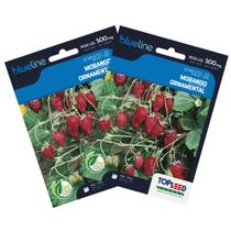 2X Sementes de Morango Ornamental Blueline TOPSEED 2X Sementes de Morango Ornamental Blueline TOPSEED