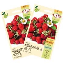 2X Sementes de Morango Ornamental Silvestre ISLA 2X Sementes de Morango Ornamental Silvestre ISLA