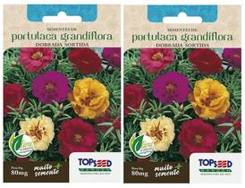 2X Sementes de Onze Horas (Portulaca Grandiflora) TOPSEED