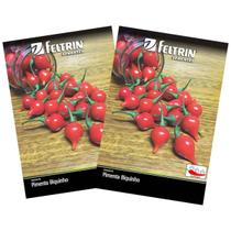 2X Sementes de Pimenta Biquinho (Vermelha) FELTRIN 2X Sementes de Pimenta Biquinho (Vermelha) FELTRIN