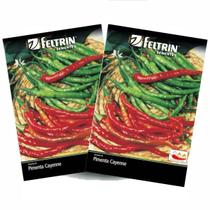 2X Sementes de Pimenta Cayenne Long Slim FELTRIN