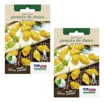 2x Sementes De Pimenta De Cheiro Do Norte Vigorosa Saborosa